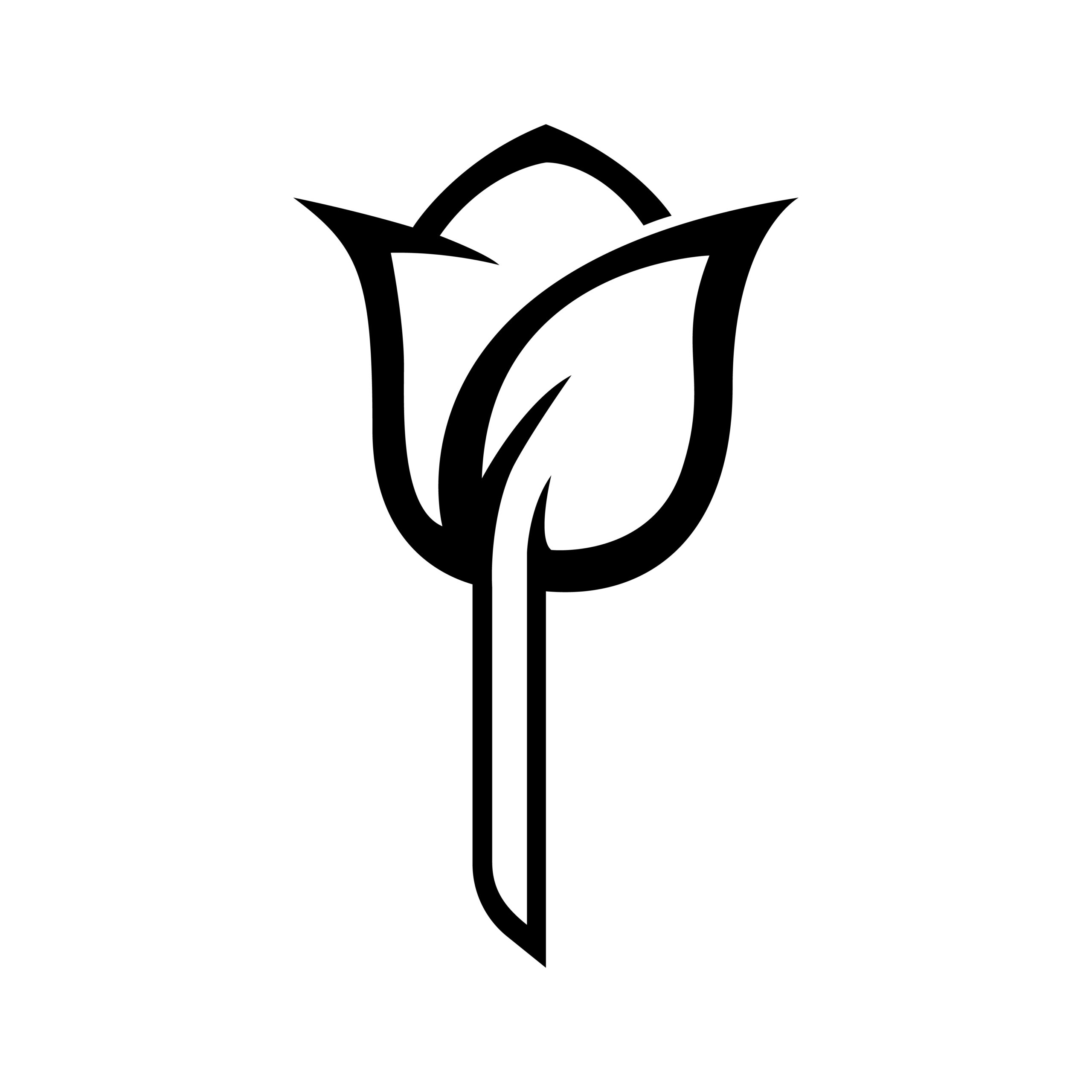 Tulip Furniture & Craft